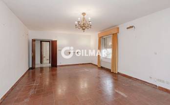 venta chalet malaga limonar