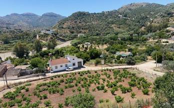 7 terrenos y fincas en venta colmenar