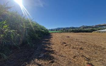 venta finca rustica motril alcampo