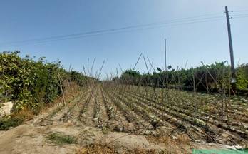 venta finca rustica motril pago de balabarca