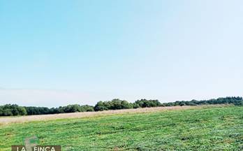 2 terrenos y fincas en venta tapia de casariego
