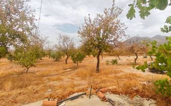 venta terrenos solares uleila del campo 