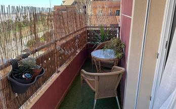 alquiler piso caceres mejostilla