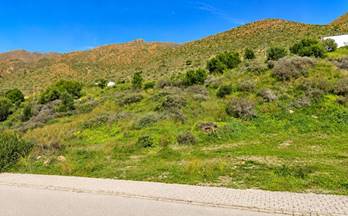 6 terrenos y fincas en venta gaucin