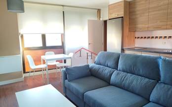 alquiler apartamento sariegos avenida leon