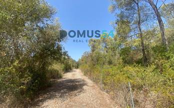 venta terrenos solares alcudia 