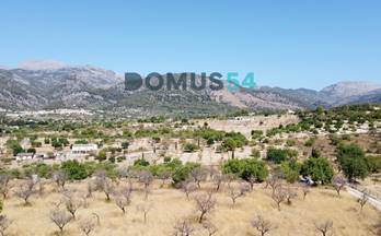 313 terrenos y fincas en venta llubi