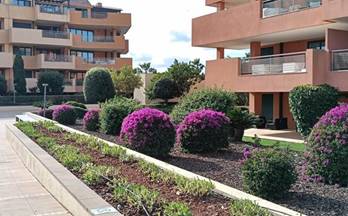 1 pisos en alquiler sotogrande