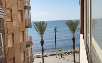 alquiler apartamento torrevieja paseo maritimo