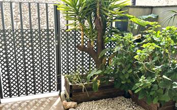 15 casas en venta montferri