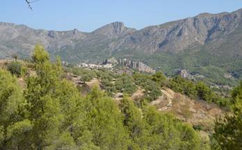 venta terrenos solares benimantell 