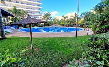 alquiler apartamento gandia playa de gandia