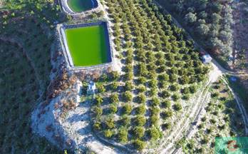 venta finca rustica itrabo itrabo