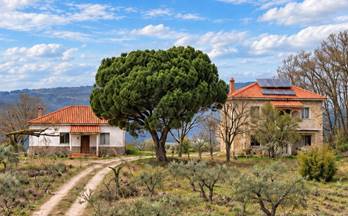 venta terrenos solares montanchez montanchez