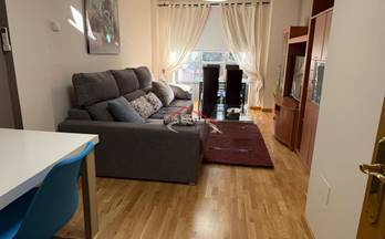 alquiler apartamento leon puerta moneda