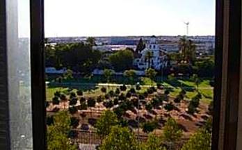 alquiler atico sevilla hacienda san antonio