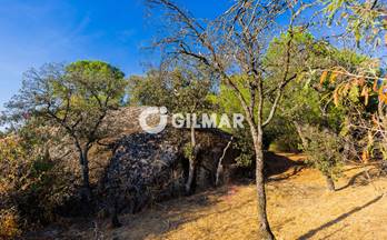 11 terrenos y fincas en venta torrelodones