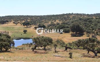venta finca rustica salamanca 