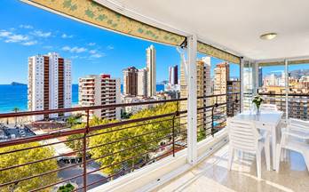 venta apartamento benidorm avenida del mediterraneo