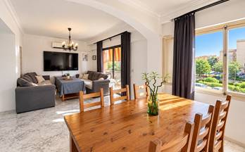 pisos en venta islas baleares provincia