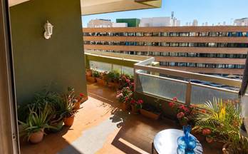 pisos en venta malaga