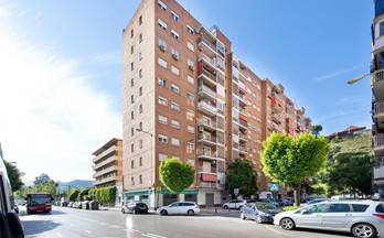 locales en venta belicena