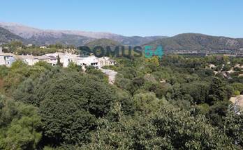 venta terrenos solares campanet 