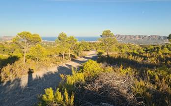 venta terrenos solares la nucia coloma