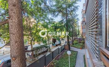 alquiler piso madrid capital centro