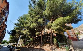 1  pisos y apartamentos en alquiler baratos jijona xixona