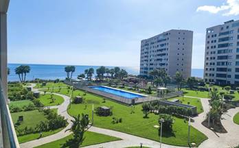 apartamentos en venta torre de la horadada