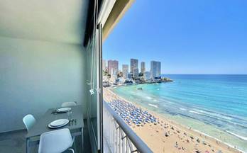 alquiler estudio benidorm avenida de madrid