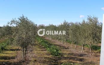 venta finca rustica toledo 