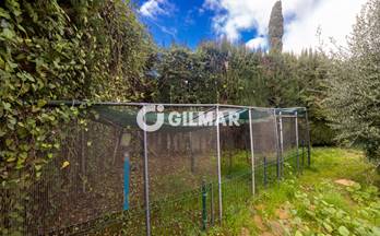 alquiler local marbella milla de oro - marbella club