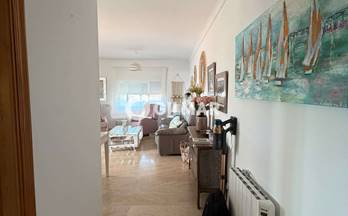 alquiler piso estepona estepa