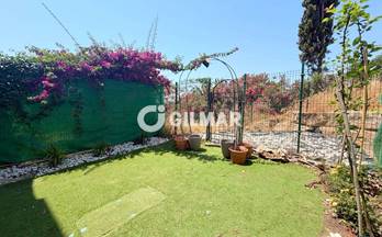 alquiler piso malaga casares