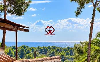 casas en venta pilar de la horadada