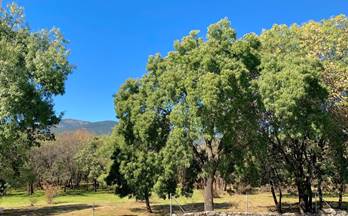 pisos en alquiler guadarrama