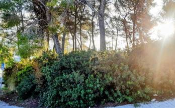 venta terrenos solares sant pere de ribes can pere de la plana - pineda 