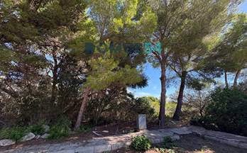venta terrenos solares manacor 