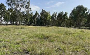 venta terrenos solares la palma del condado andalucia