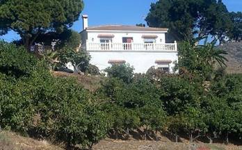 venta finca rustica algarrobo fuente ariza