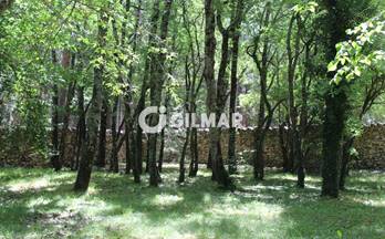 venta finca rustica madrid capital chamberi