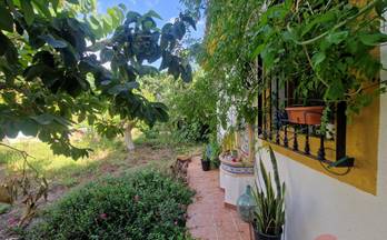 venta finca rustica salobreña la vega