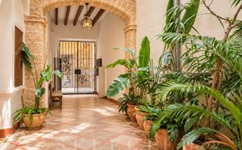 venta piso palma de mallorca centro