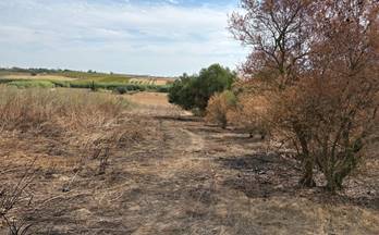 venta terrenos solares bollullos par del condado andalucia