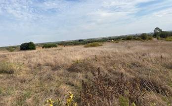 venta terrenos solares bollullos par del condado andalucia