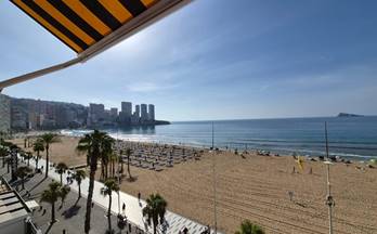 estudios en venta alicante provincia