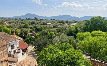 venta chalet adosado sant joan de moro 