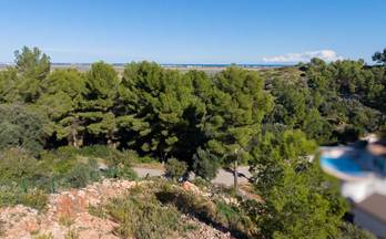 venta terrenos solares pego urbanizacion arboleda